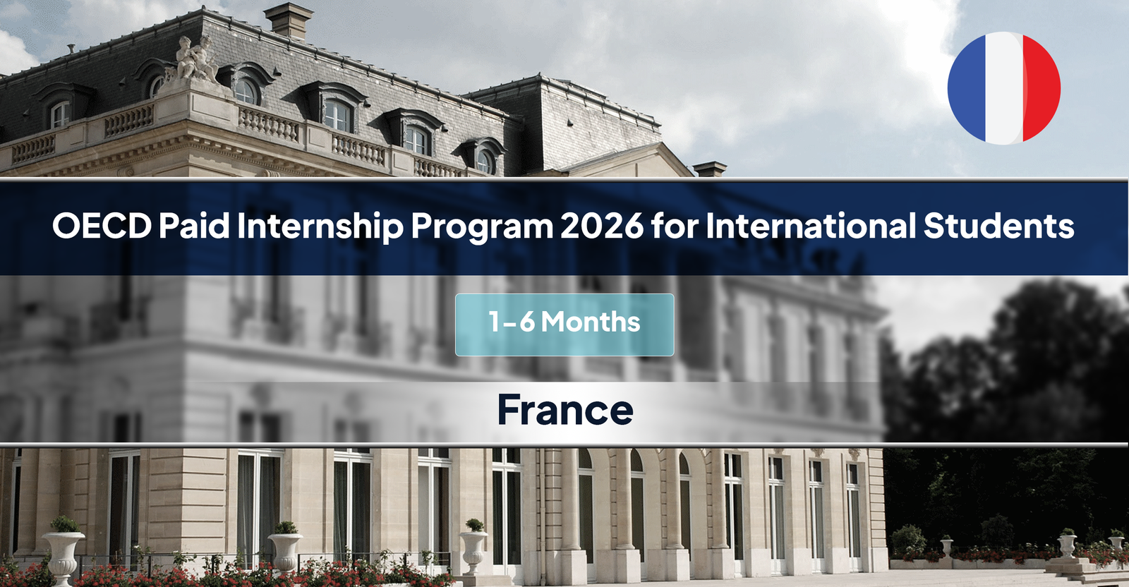 OECD Paid Internship